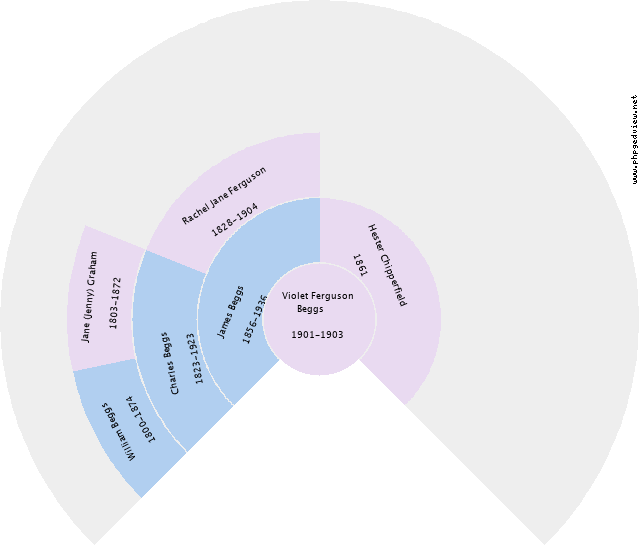 Violet Ferguson Beggs Circle Diagram